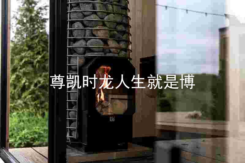尊凯时龙人生就是博