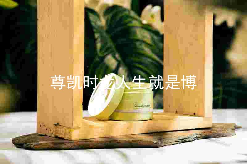 尊凯时龙人生就是博