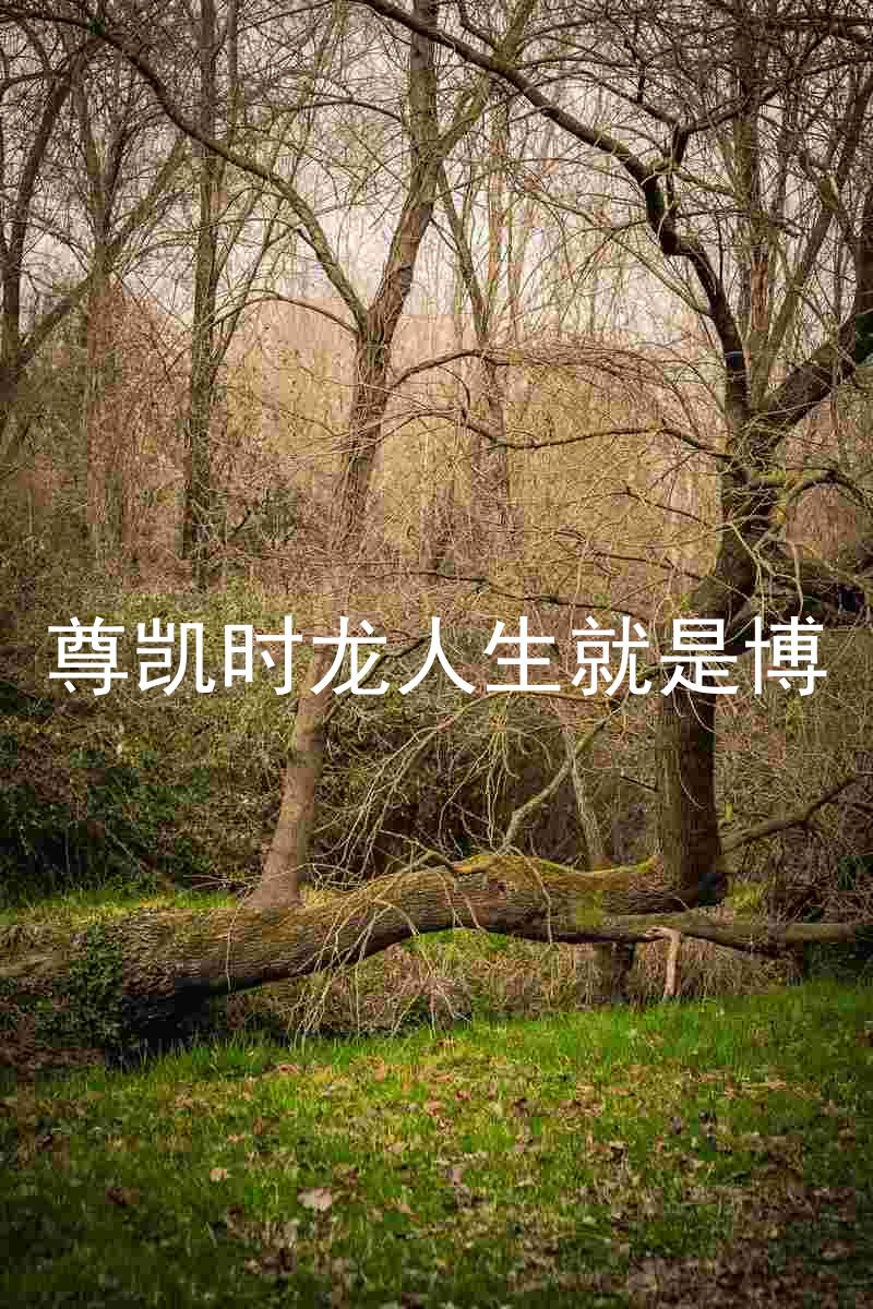尊凯时龙人生就是博