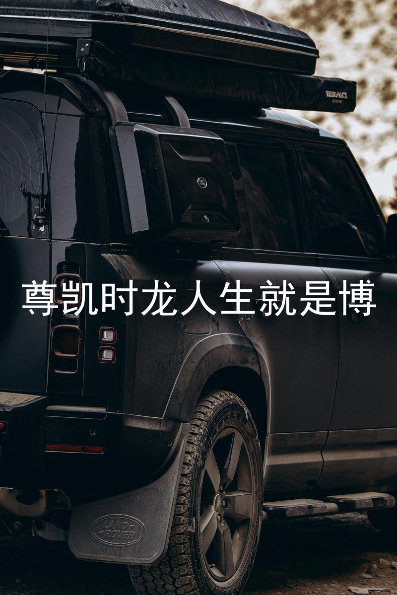 尊凯时龙人生就是博