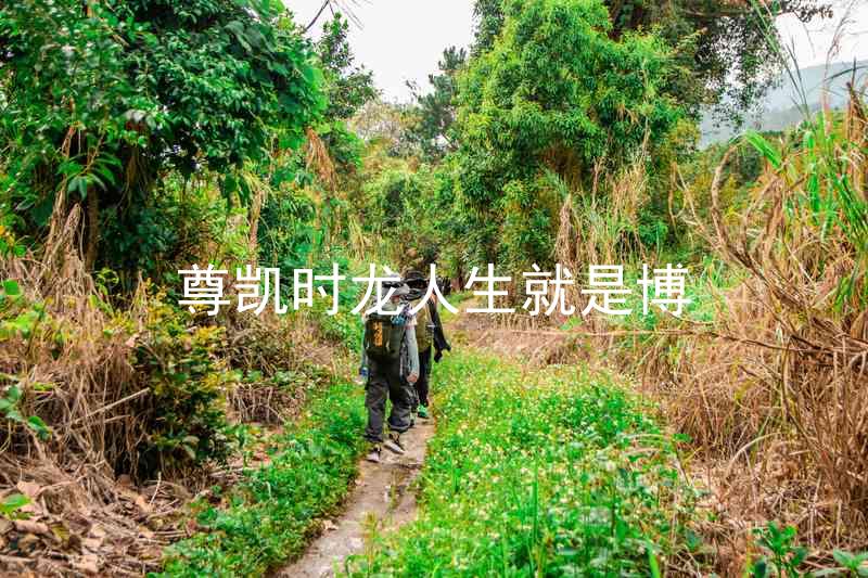 尊凯时龙人生就是博
