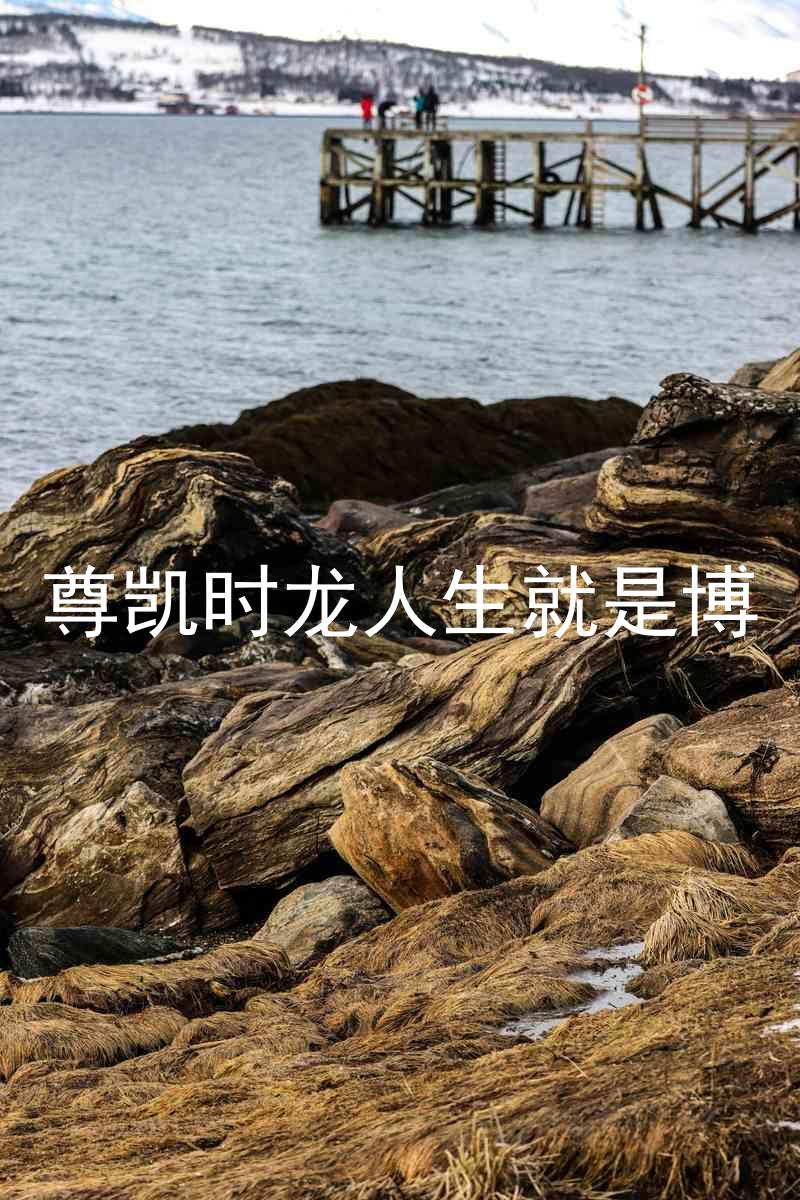 尊凯时龙人生就是博